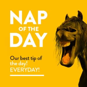 Nap of the day